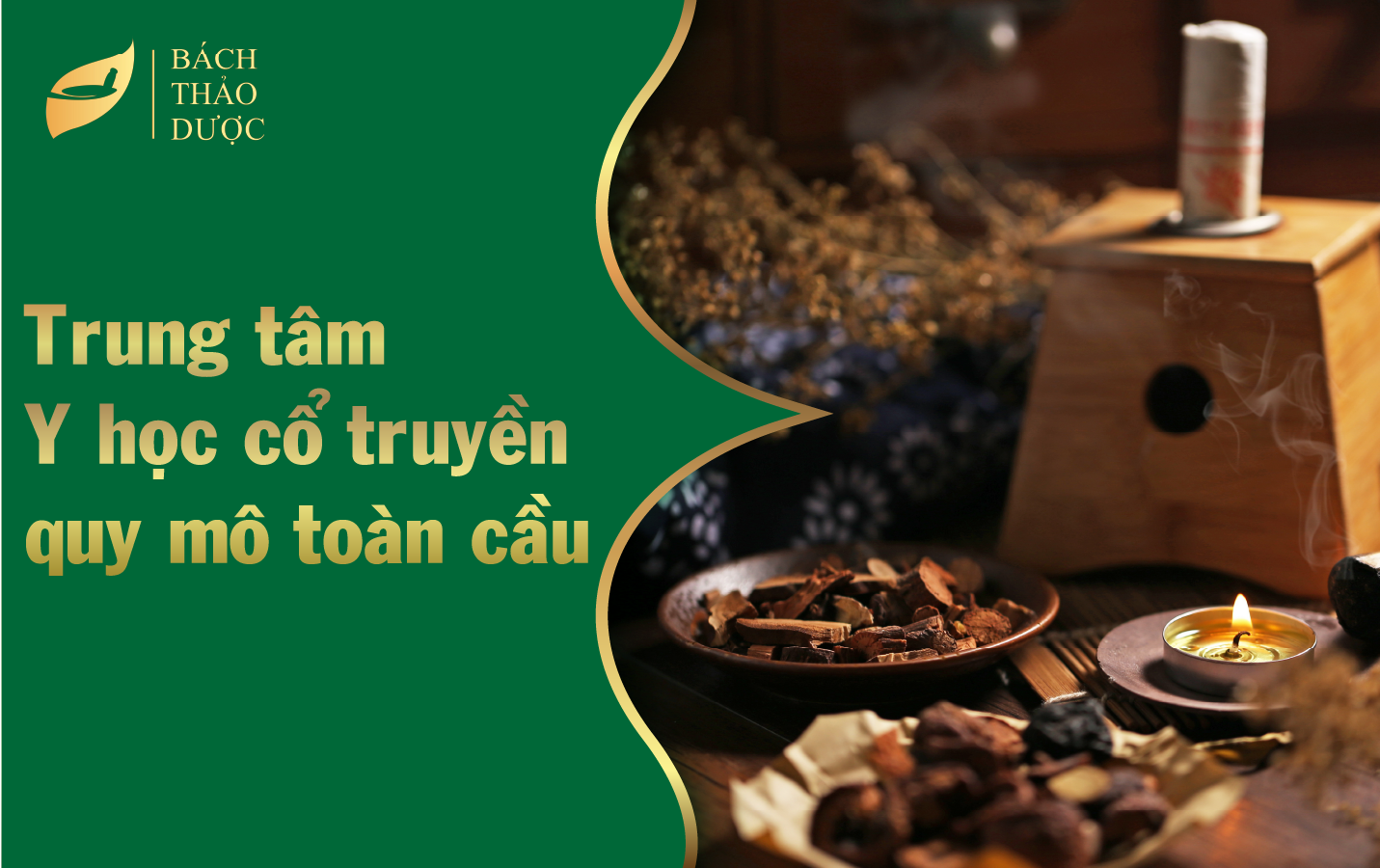 Thiết lập trung tâm y học cổ truyền quy mô toàn cầu