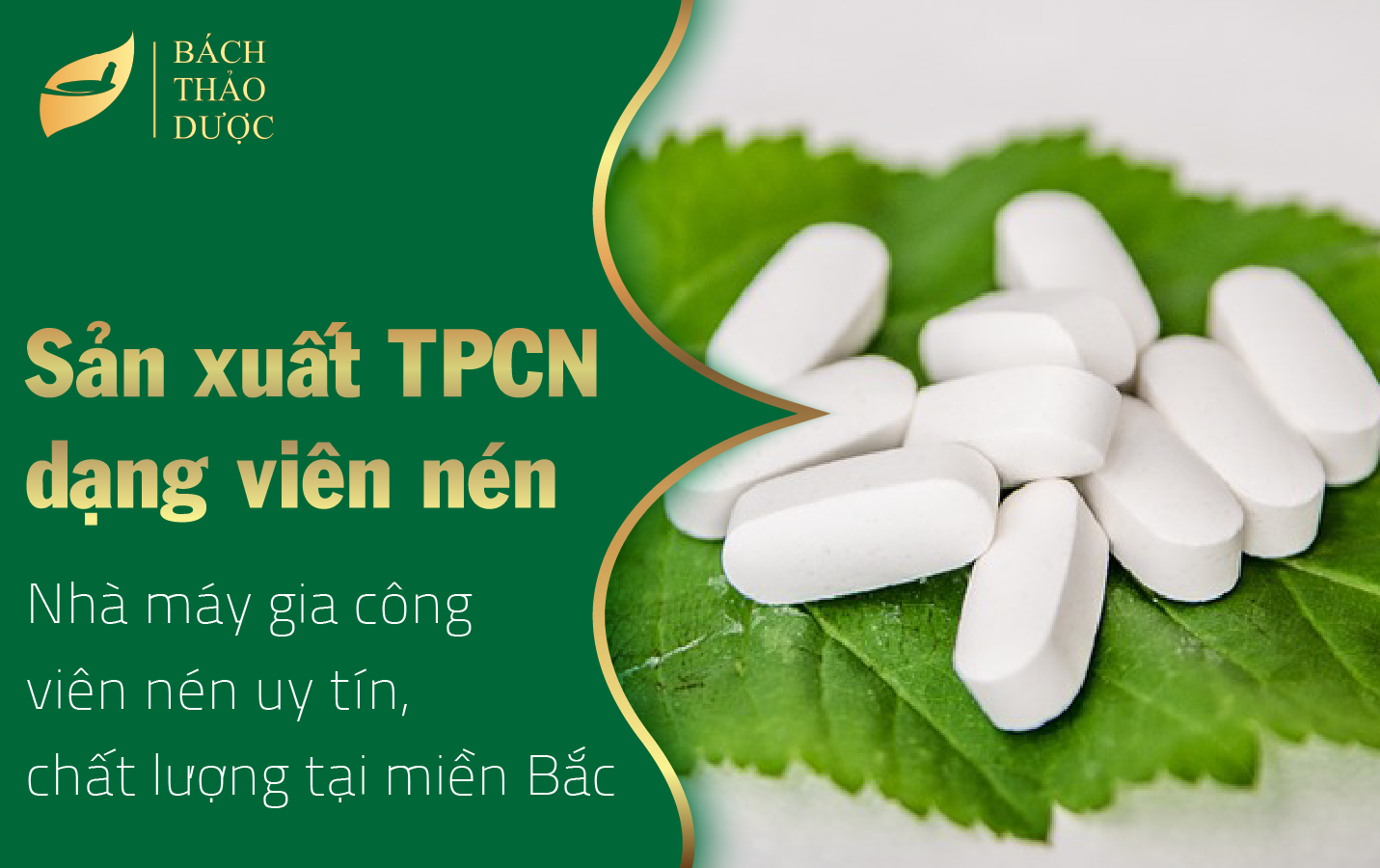 Nhà máy gia công viên nén uy tín, chất lượng tại miền Bắc