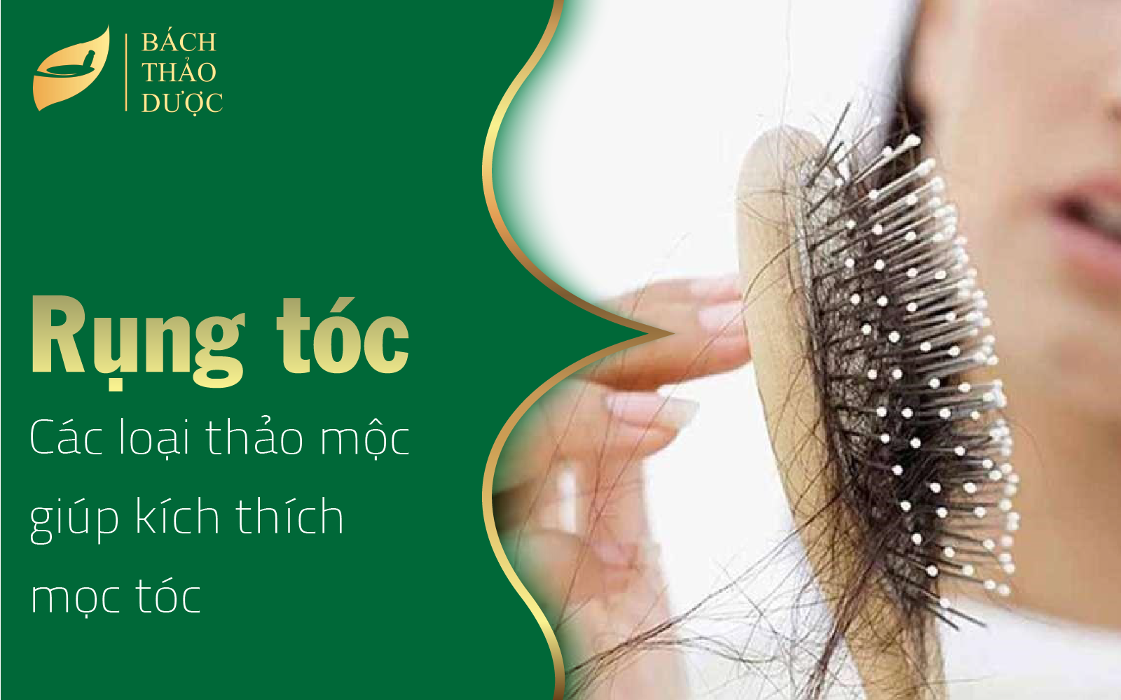 Các loại thảo mộc giúp kích thích mọc tóc