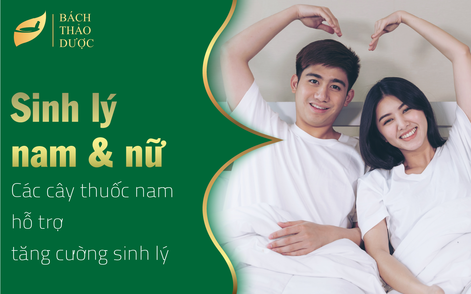 Các cây thuốc nam tăng cường sinh lý nam và nữ