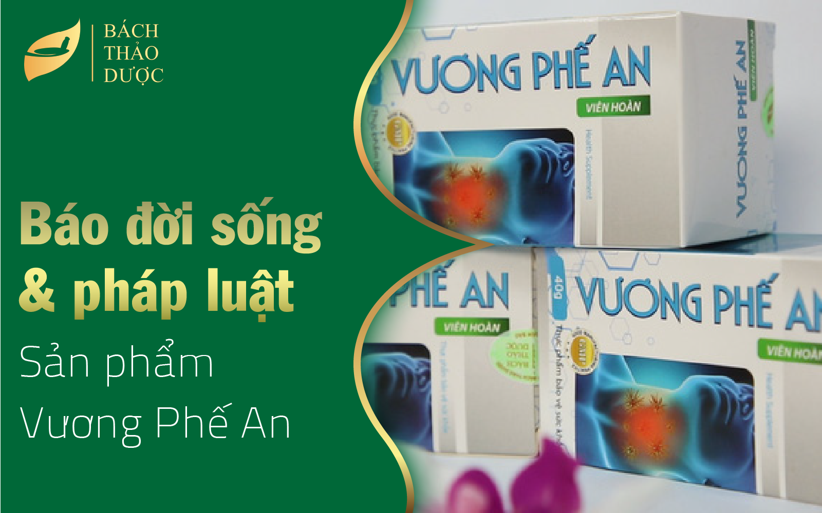 TPBVSK Vương Phế An có tốt không? Mua ở đâu? Giá thế nào?