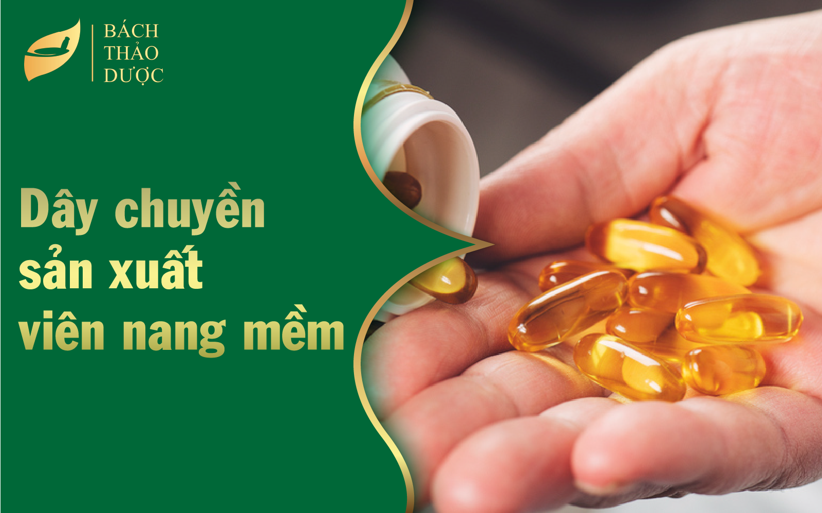 Dây chuyền sản xuất viên nang mềm tại Bách Thảo Dược