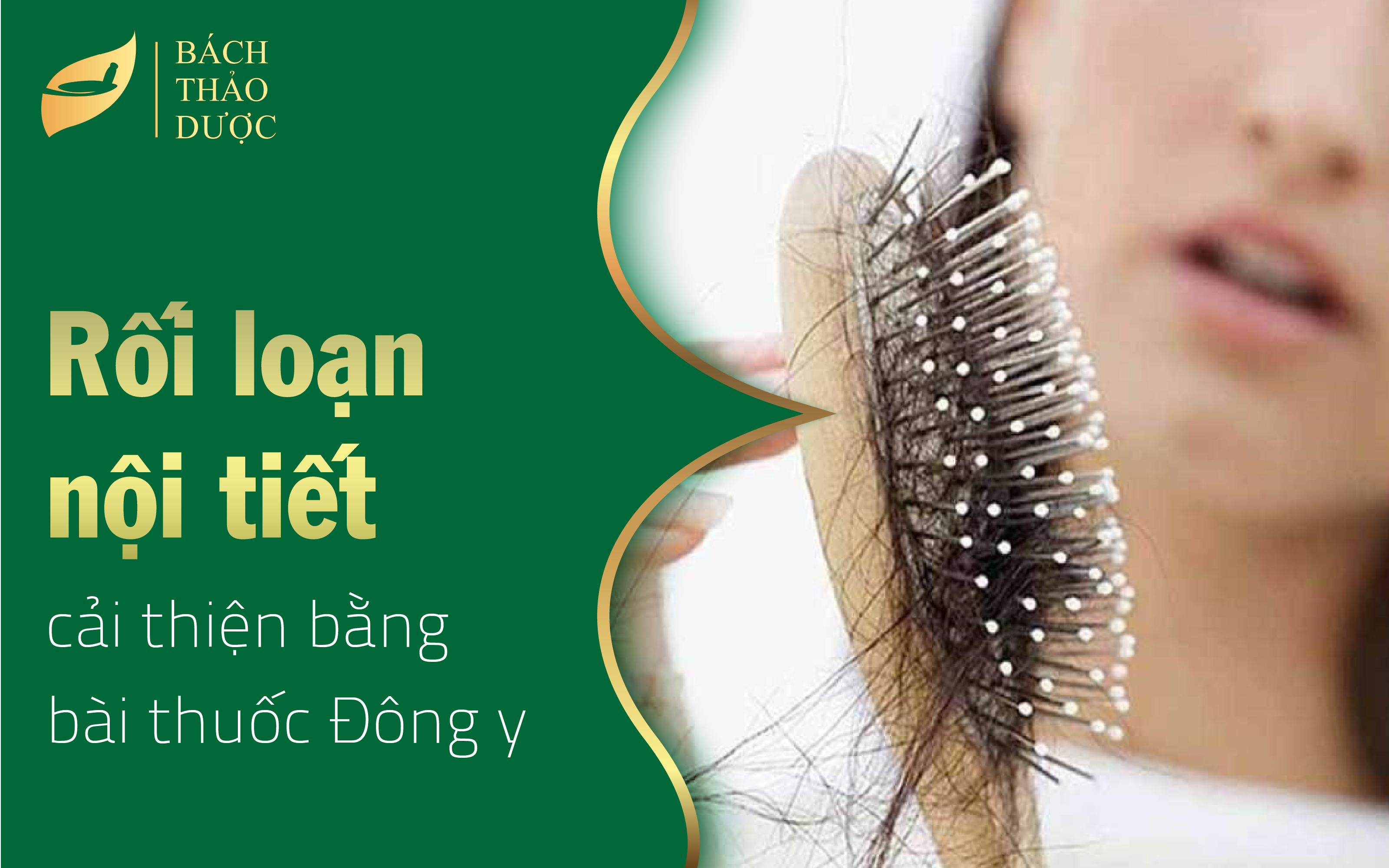 Bài thuốc đông y chữa rối loạn nội tiết