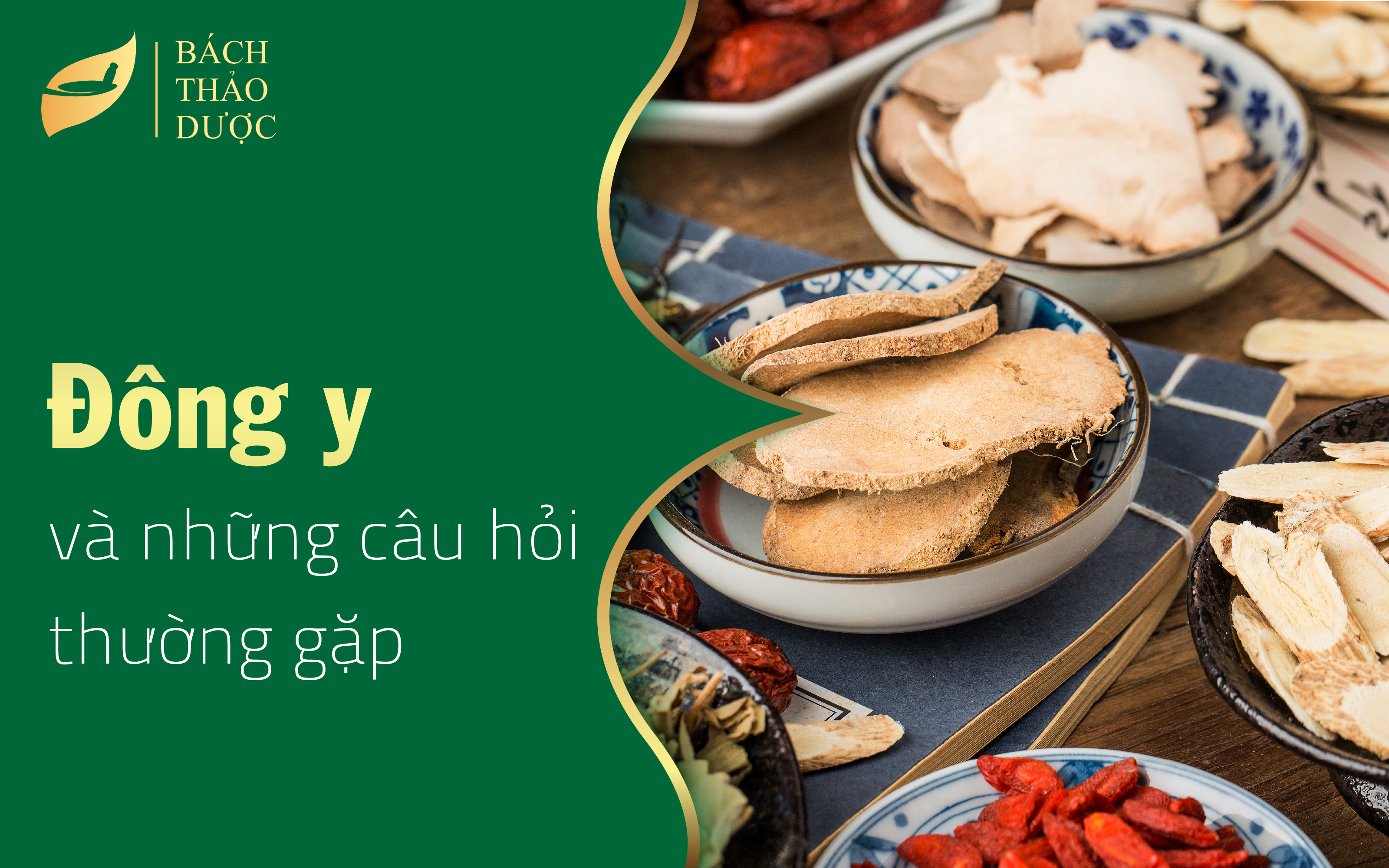 Những câu hỏi thường gặp về đông y