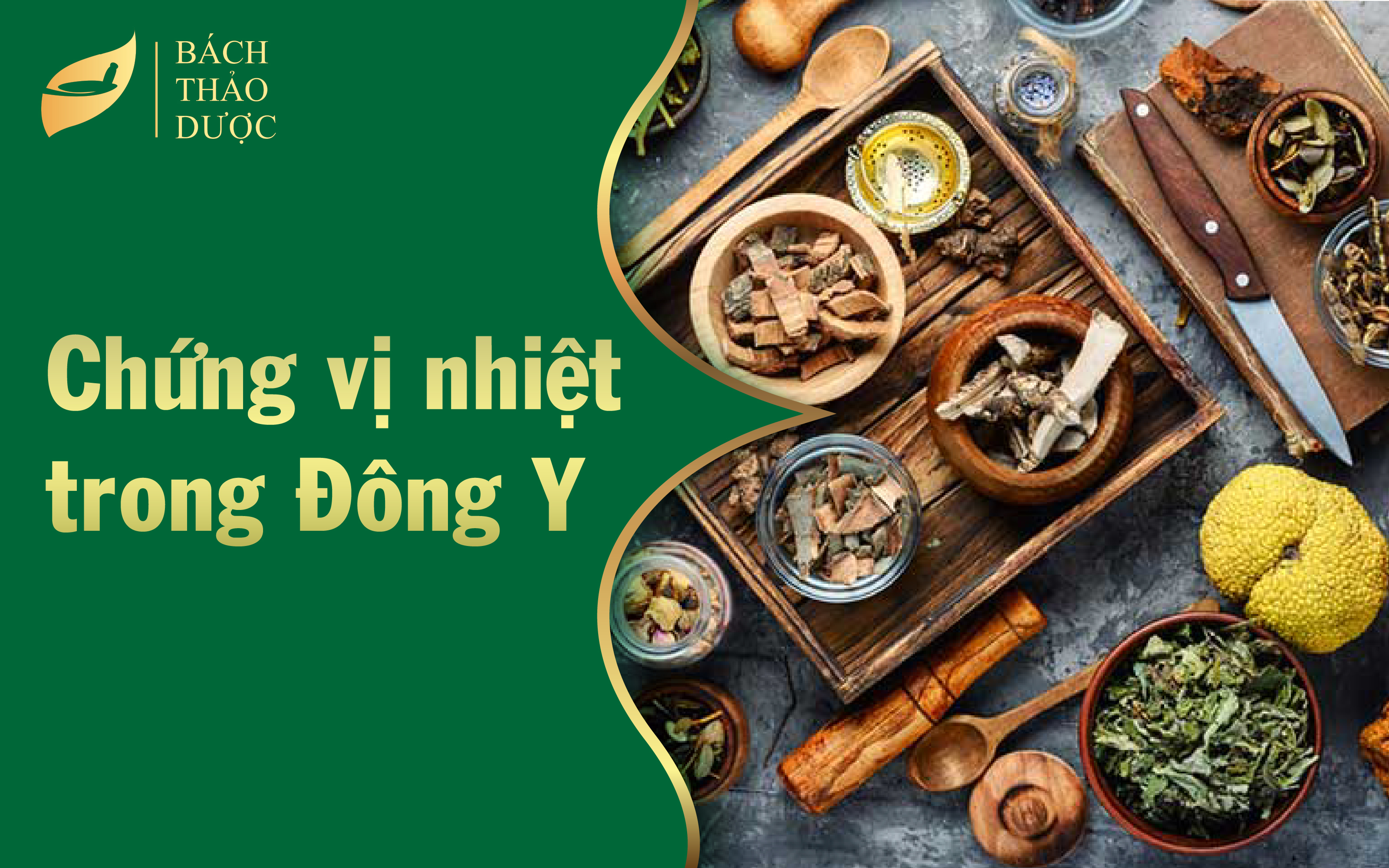 Chứng vị nhiệt trong đông y