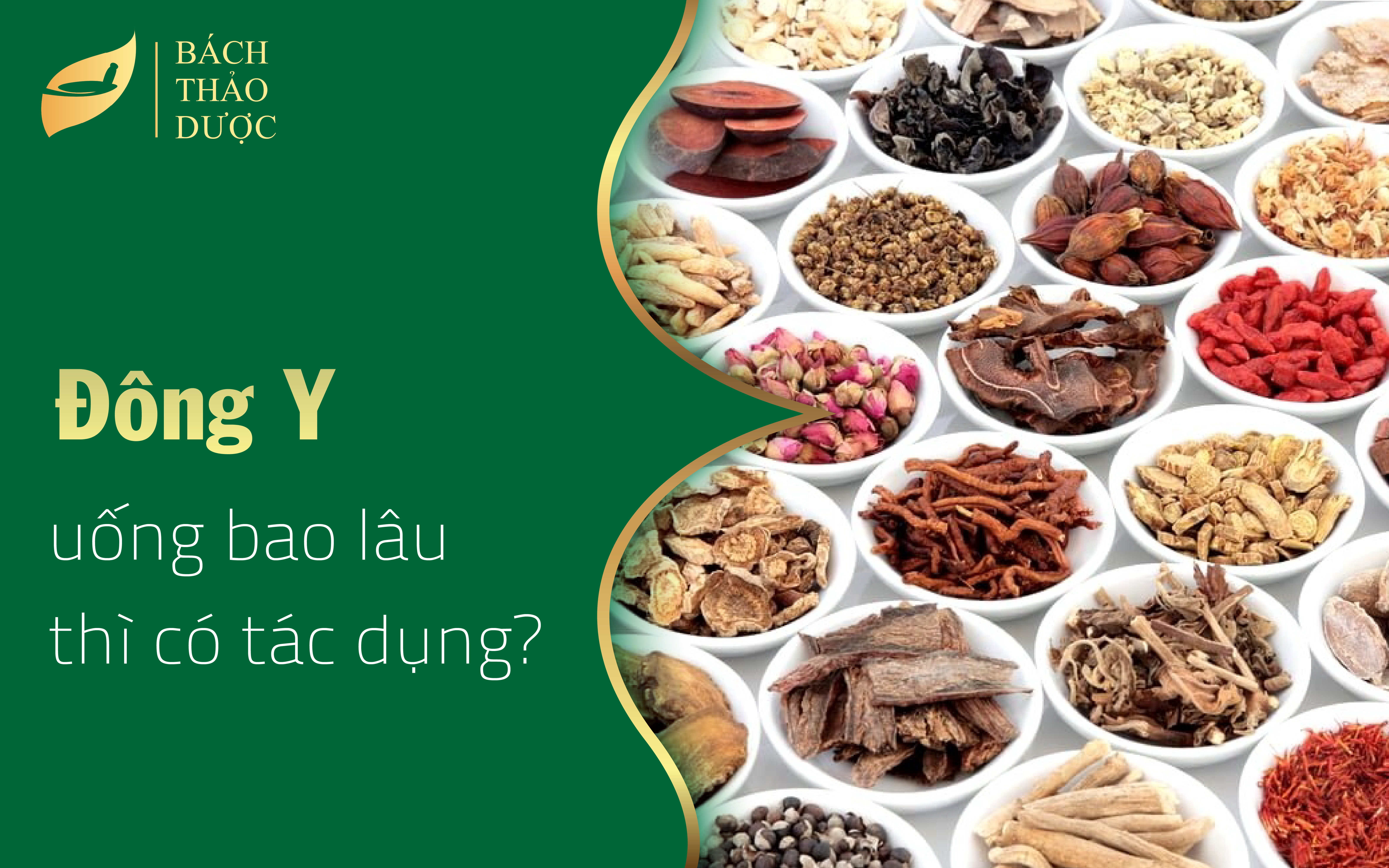 Uống thuốc Đông Y bao lâu thì có tác dụng?