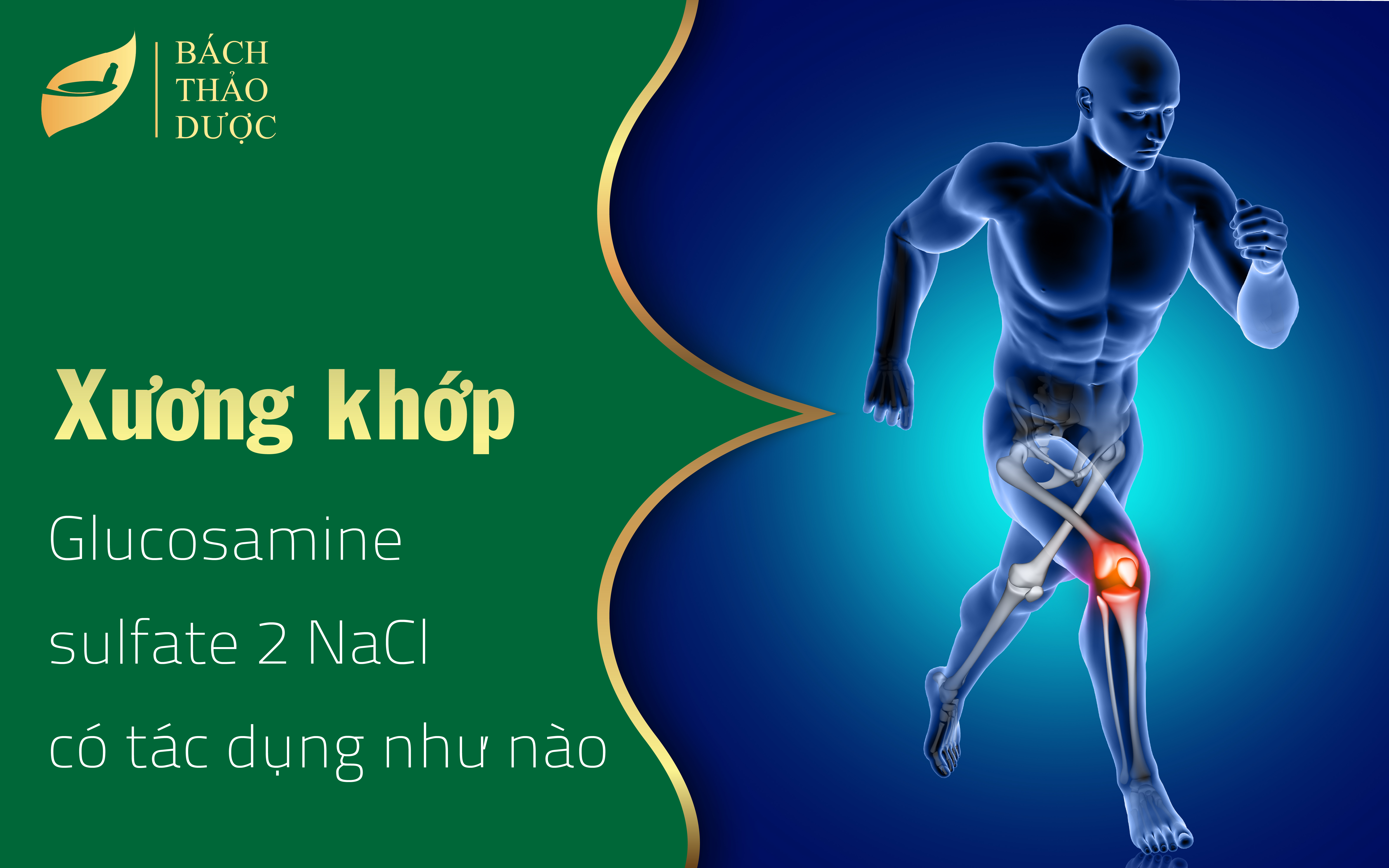 Glucosamine sulfate 2 NaCl có tác dụng với xương khớp như thế nào?