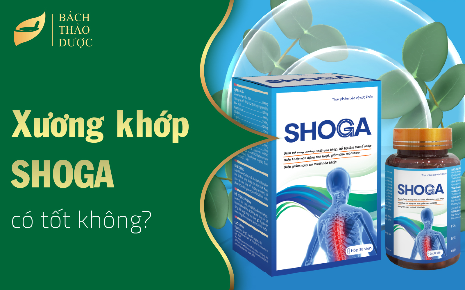 Sản phẩm xương khớp SHOGA có tốt không?