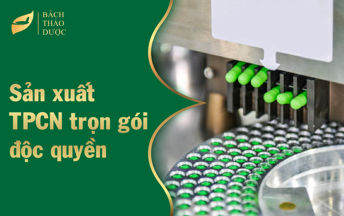 SẢN XUẤT TPCN TRỌN GÓI ĐỘC QUYỀN TẠI BÁCH THẢO DƯỢC