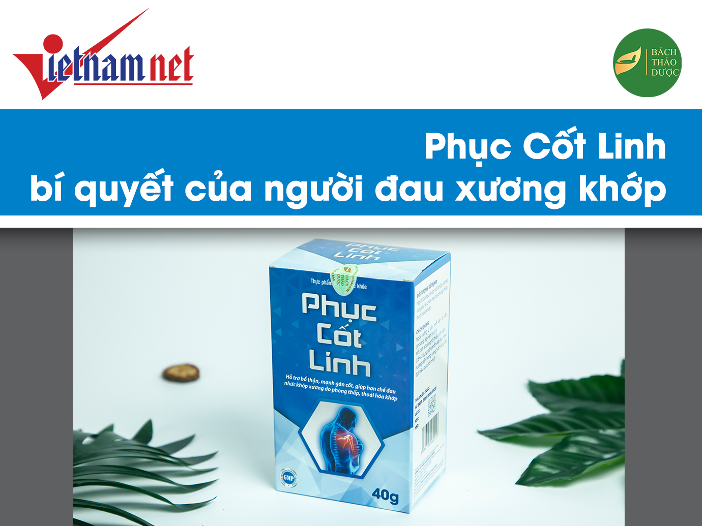 Phục Cốt Linh, bí quyết của người đau xương khớp