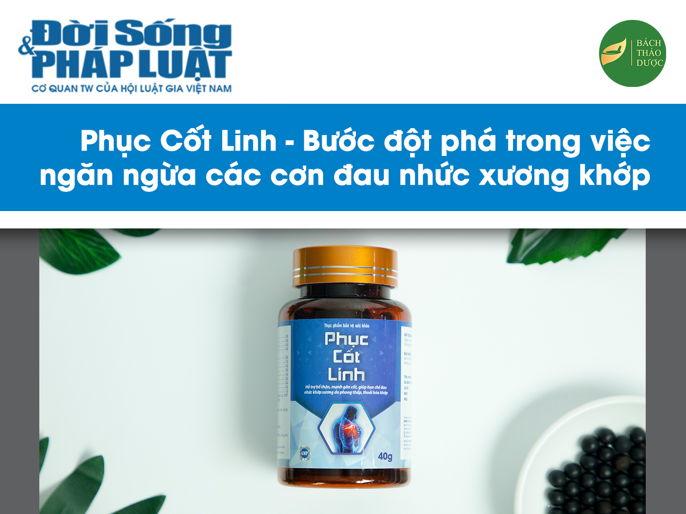 Phục Cốt Linh - Bước đột phá trong việc ngăn ngừa các cơn đau nhức xương khớp