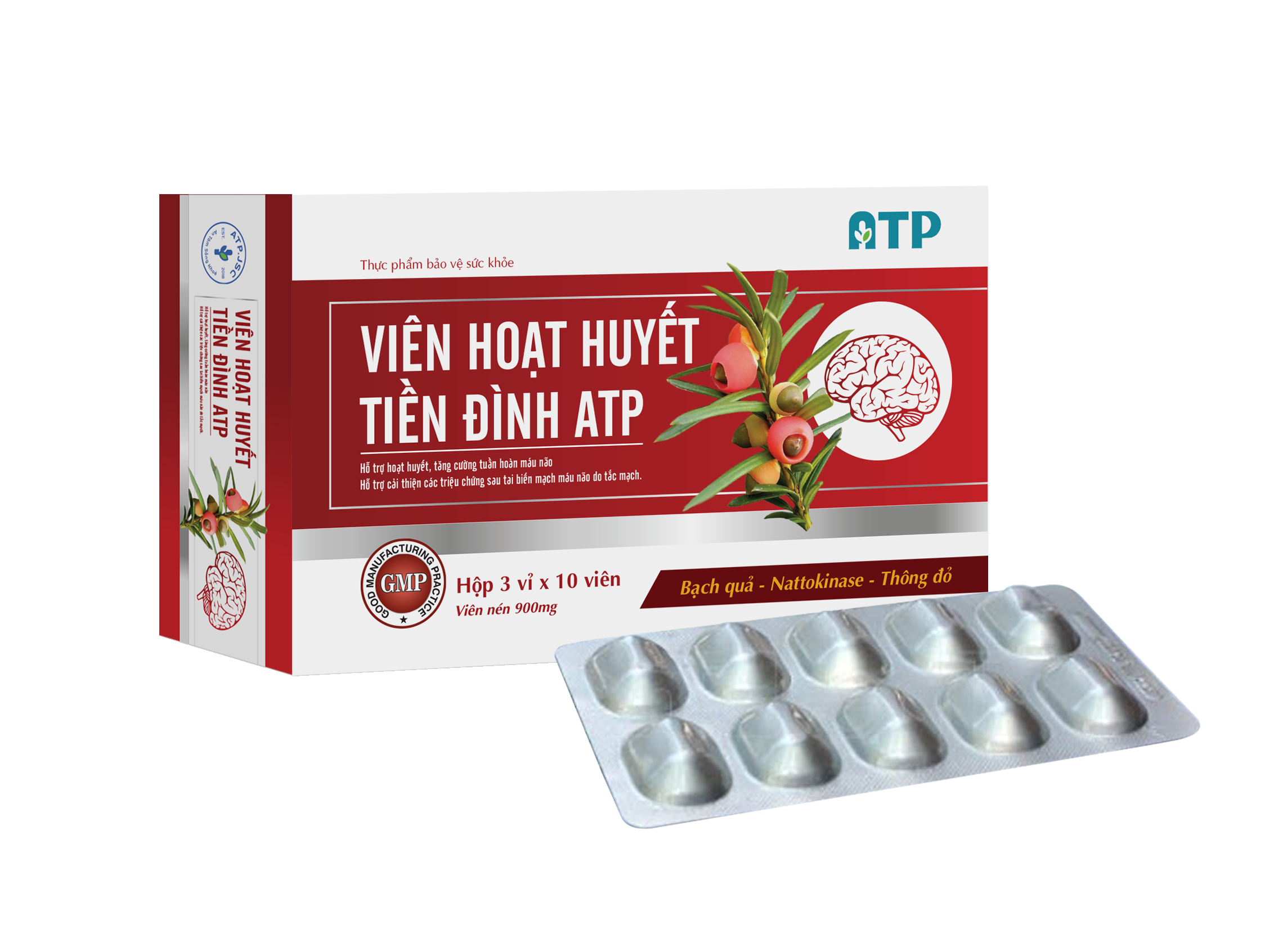 TPBVSK VIÊN HOẠT HUYẾT TIỀN ĐÌNH ATP